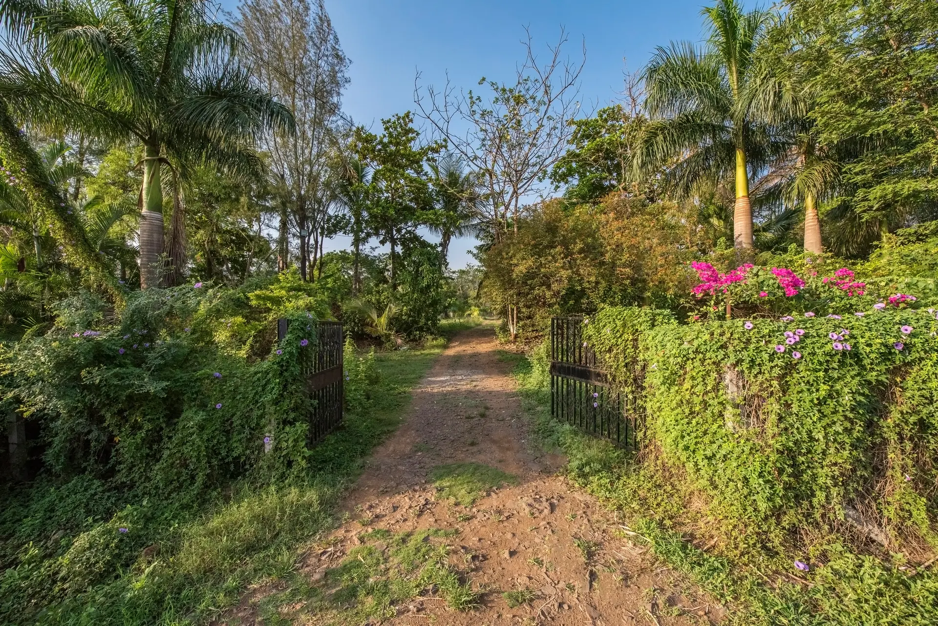 Image 34 of the property
