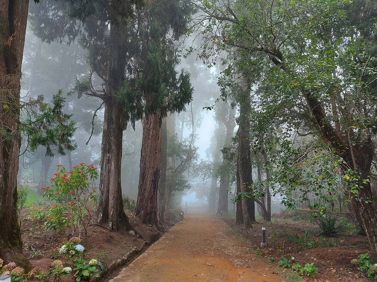 The misty mornings of Kodaikanal sets the perfect tone for your vacation