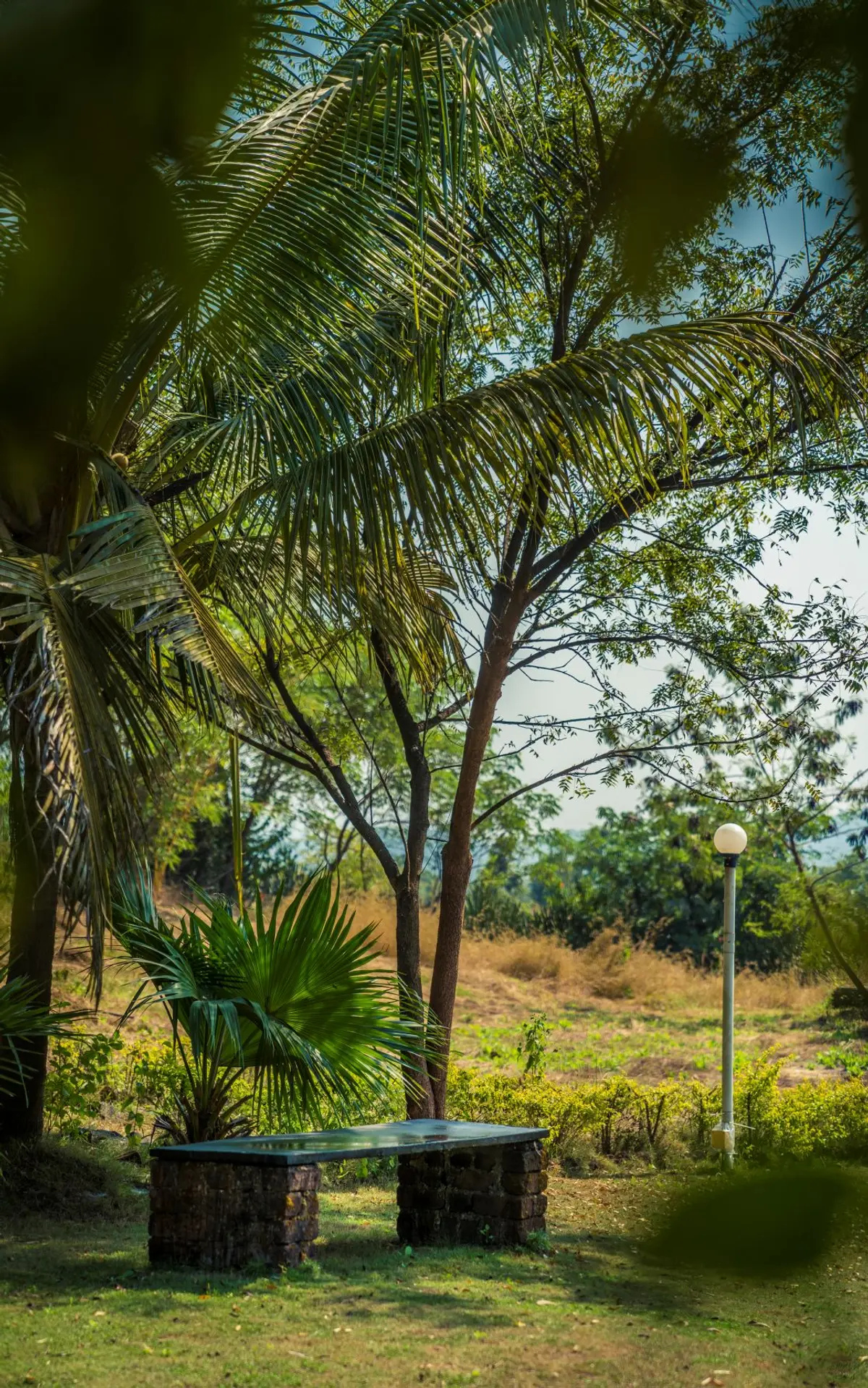 You can find many such spots to take a breather between your estate walks, badminton games and football tournaments.