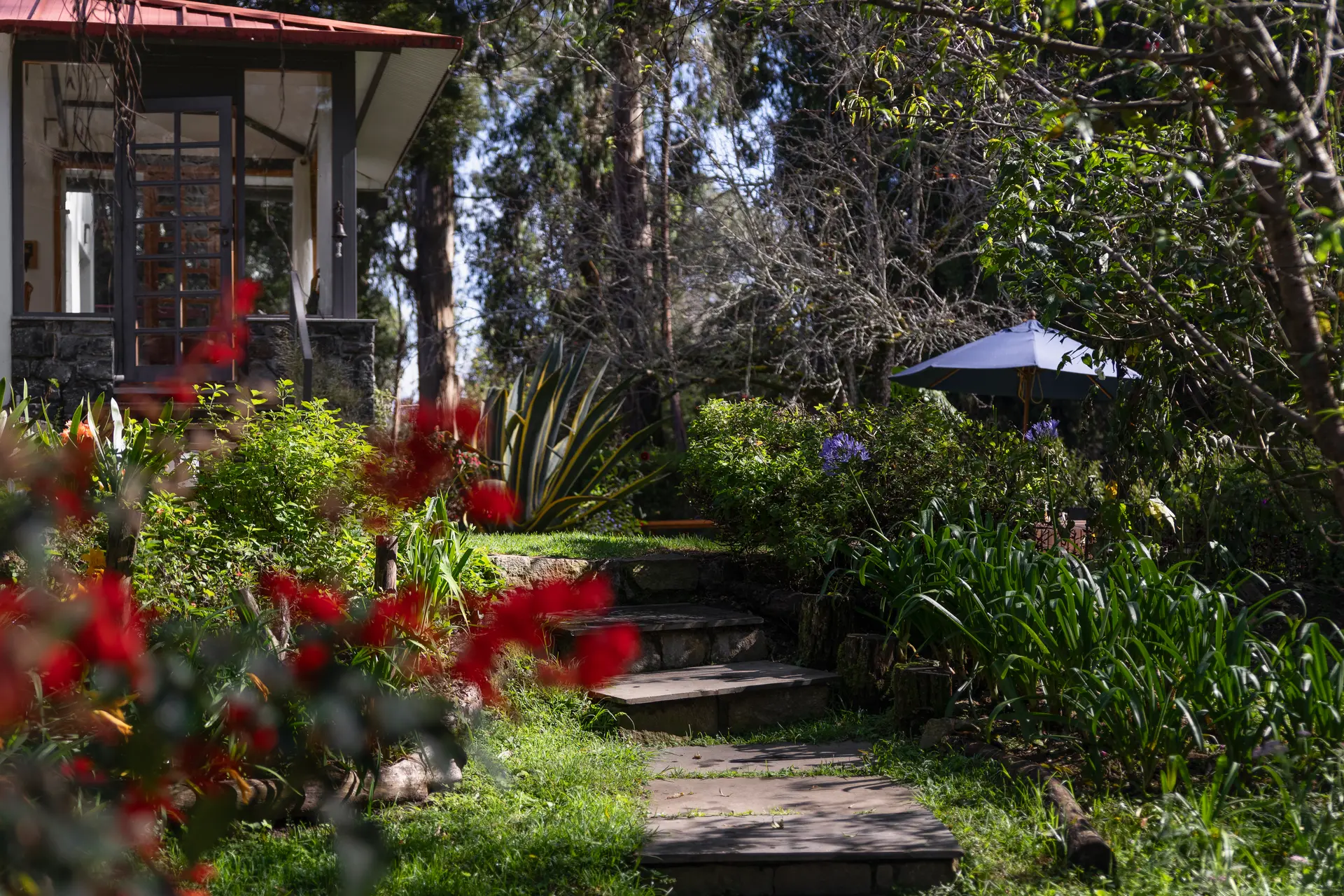 Image 21 of the property
