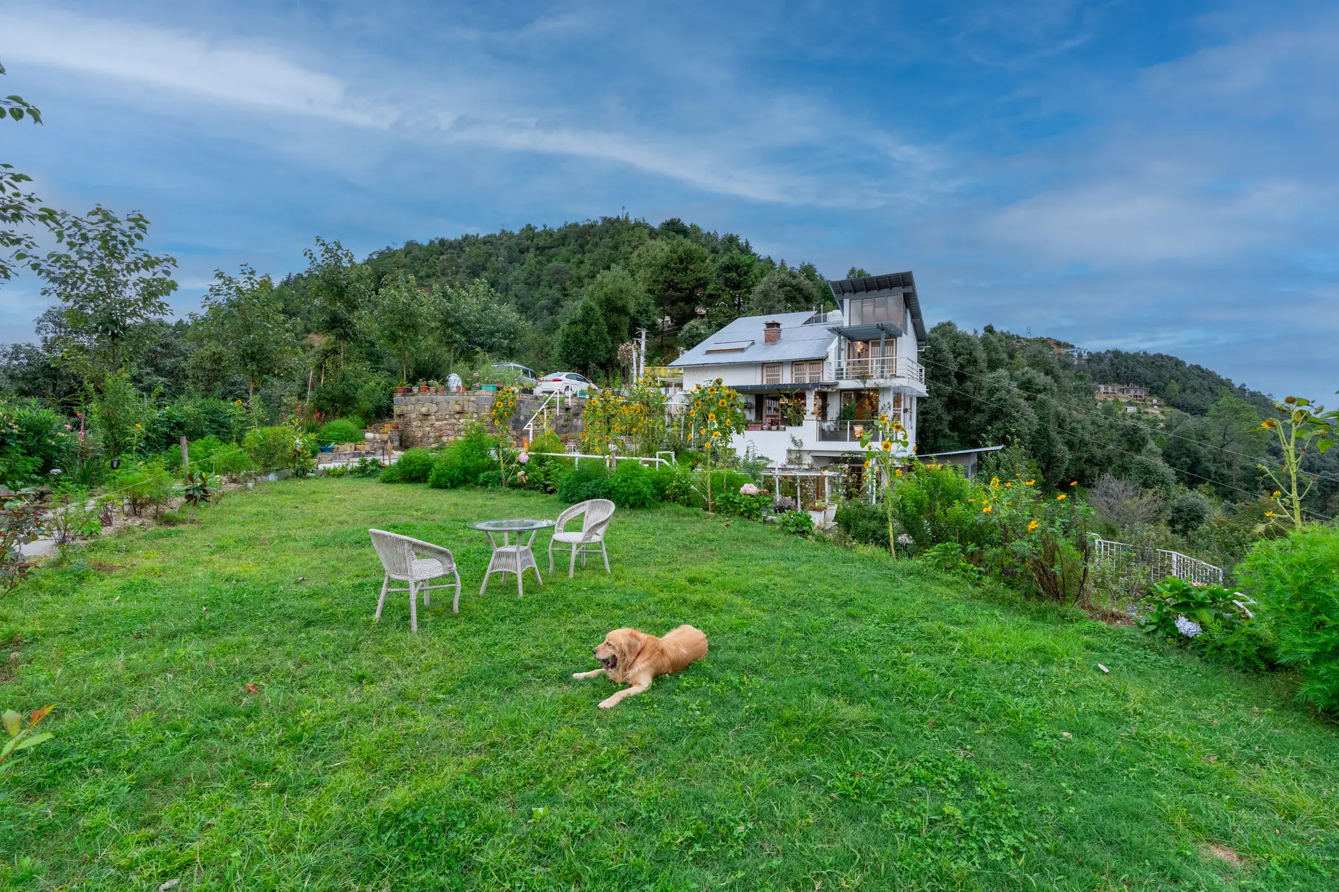 Image 7 of the property