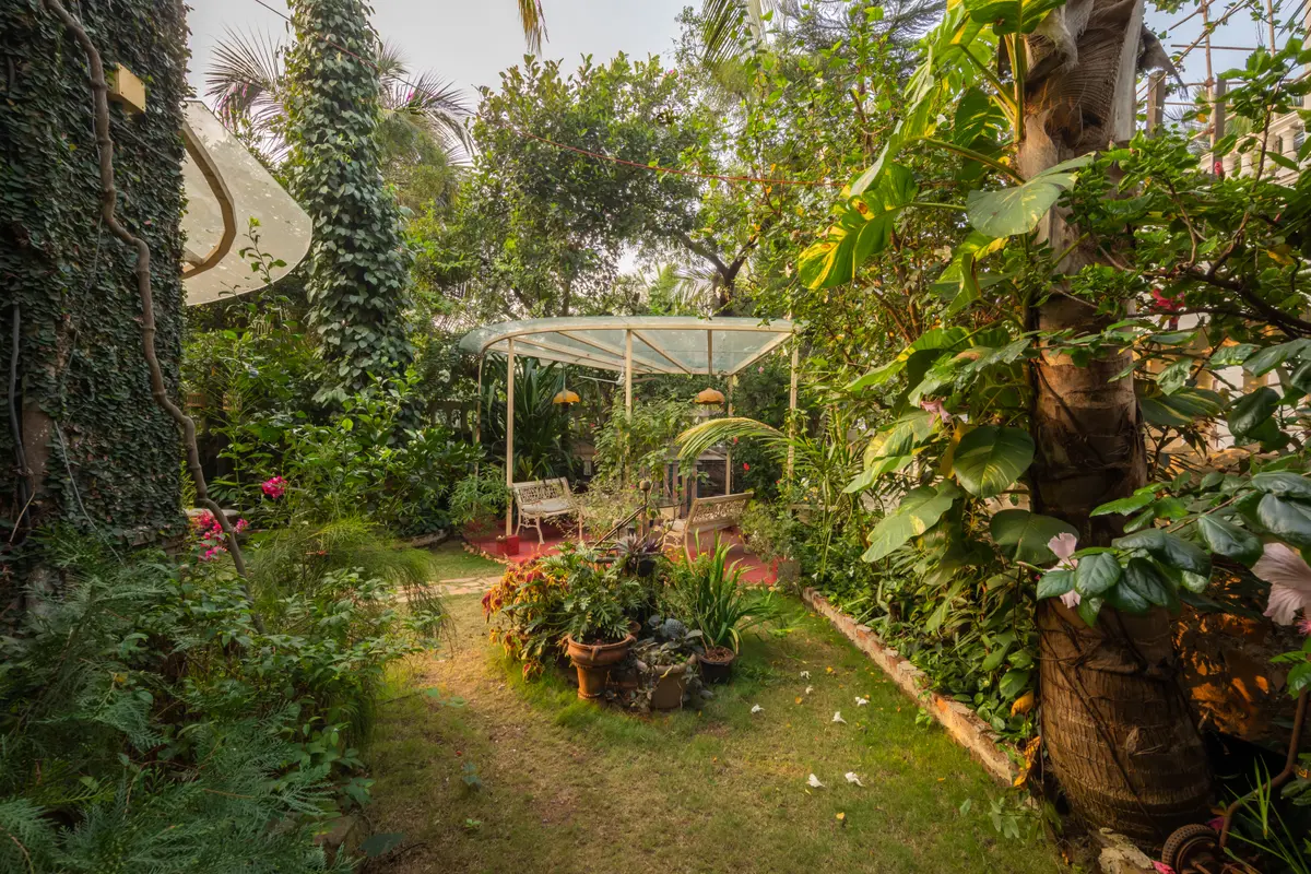 Lush foliage for elaborate picnics or to play chase with your furry friends.
