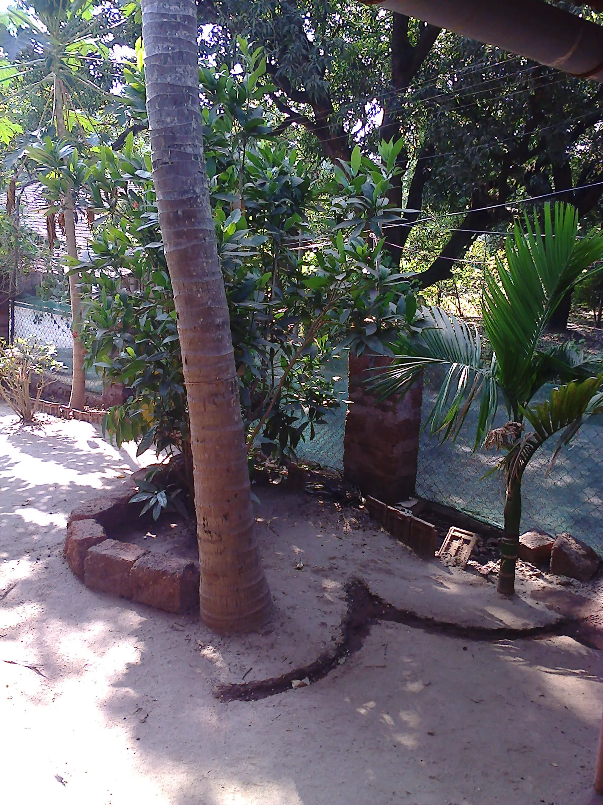 Image 7 of the property
