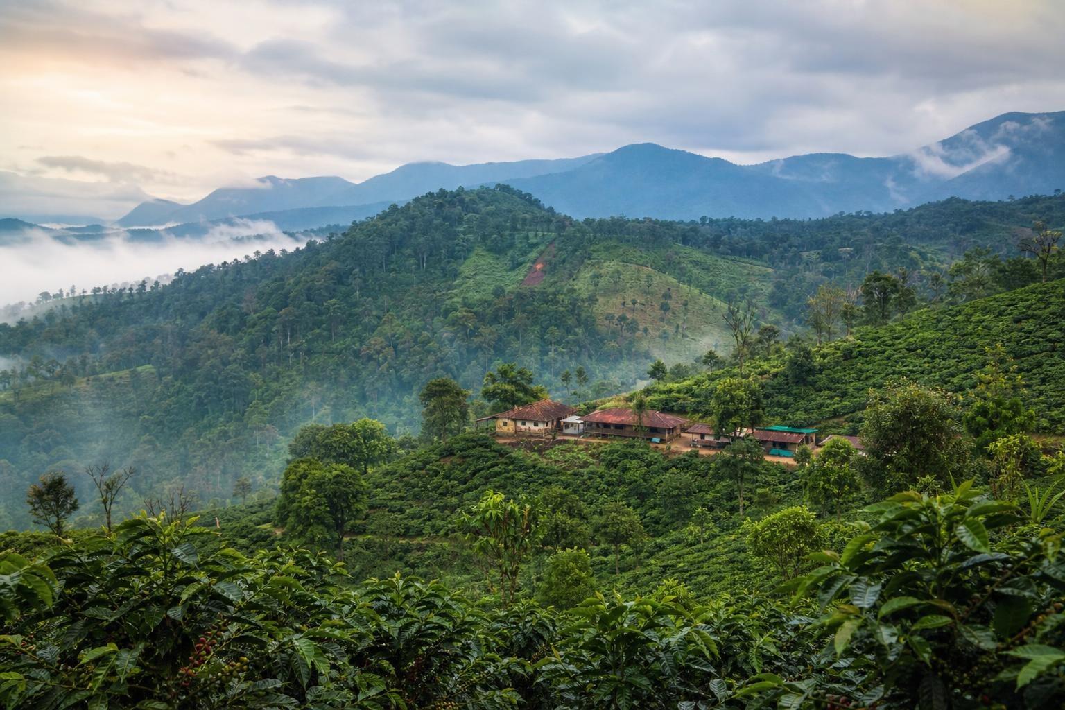 AI-generated illustration of Coorg