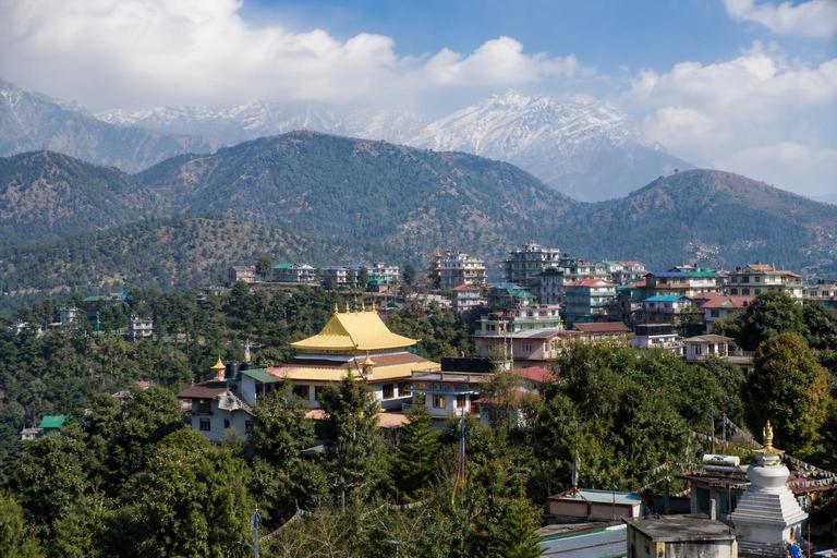 Bir Tibetan Colony — AI-generated illustration