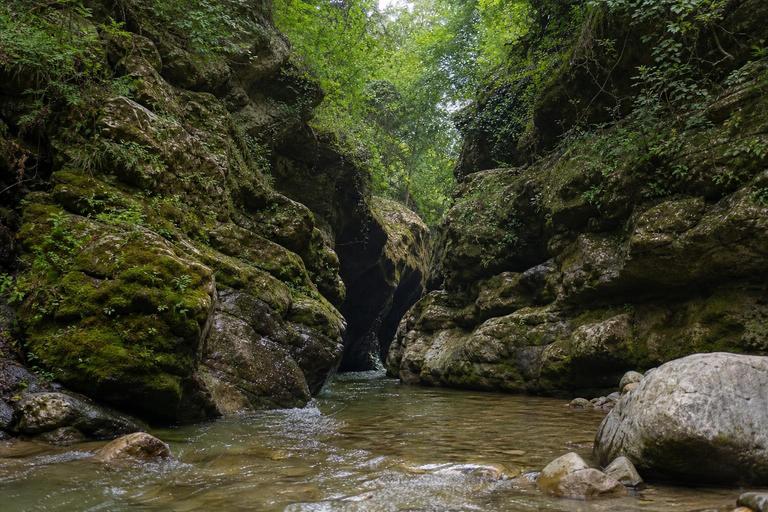 Robber’s Cave (Guchhupani) — AI-generated illustration