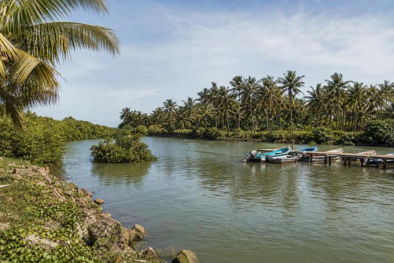 Muttukadu backwaters — AI-generated illustration
