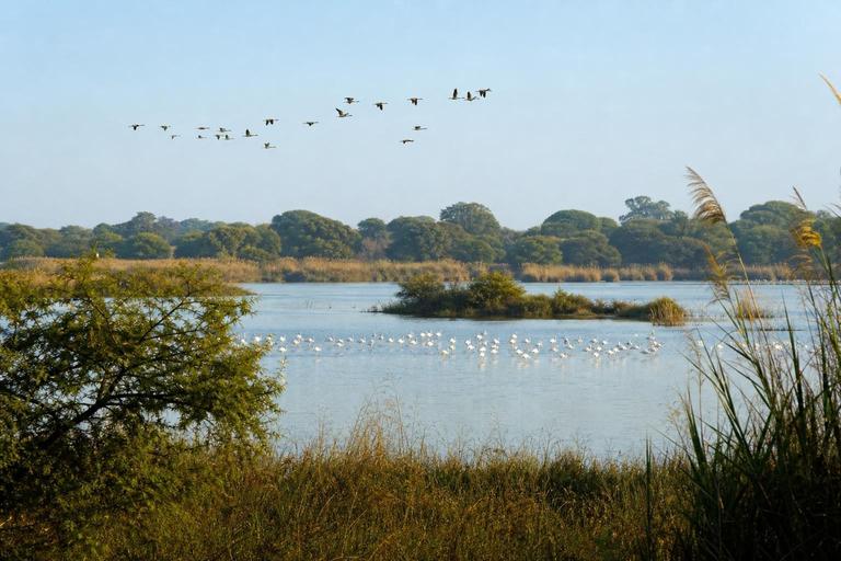 Sultanpur National Park — AI-generated illustration