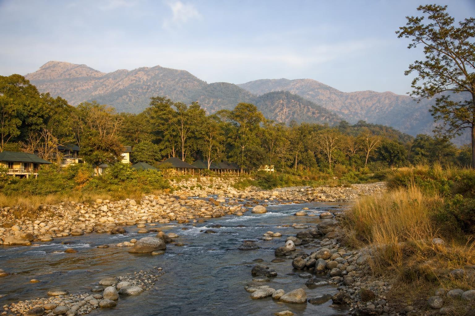 AI-generated illustration of Jim Corbett