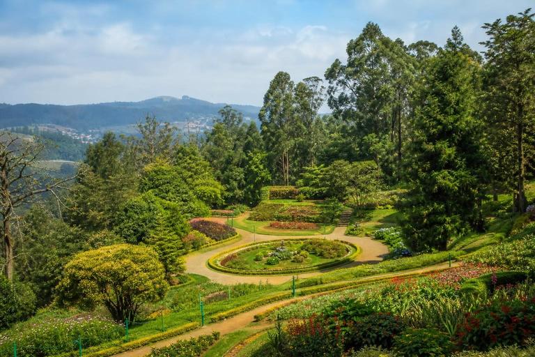 Government Botanical Garden — AI-generated illustration