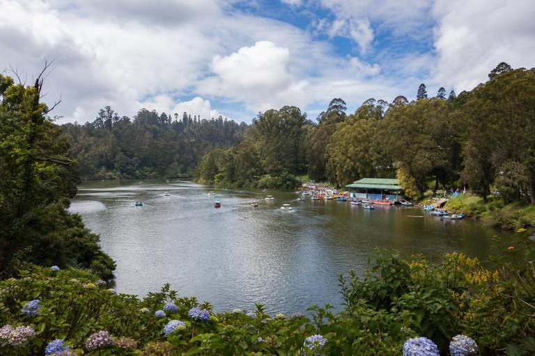 Ooty Lake — AI-generated illustration