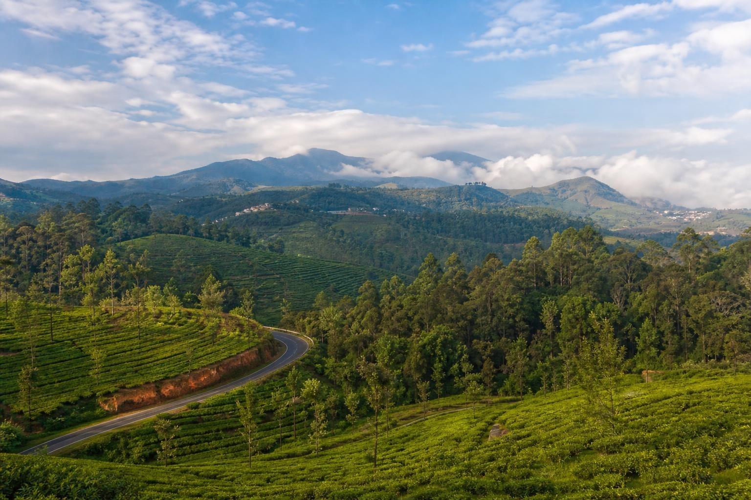 AI-generated illustration of Kotagiri