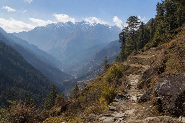 Great Himalayan National Park approach — AI-generated illustration