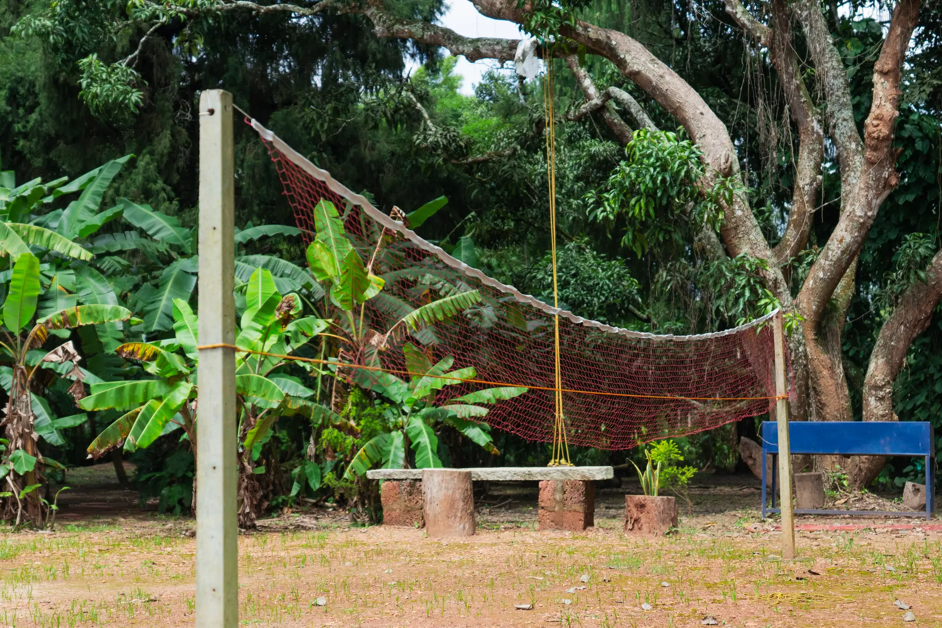 Image 54 of the property