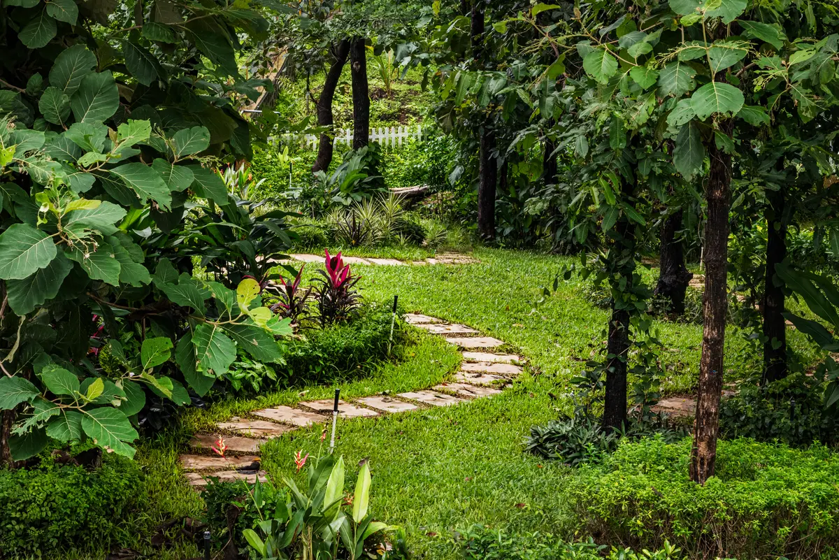 Take a Walk in the nature