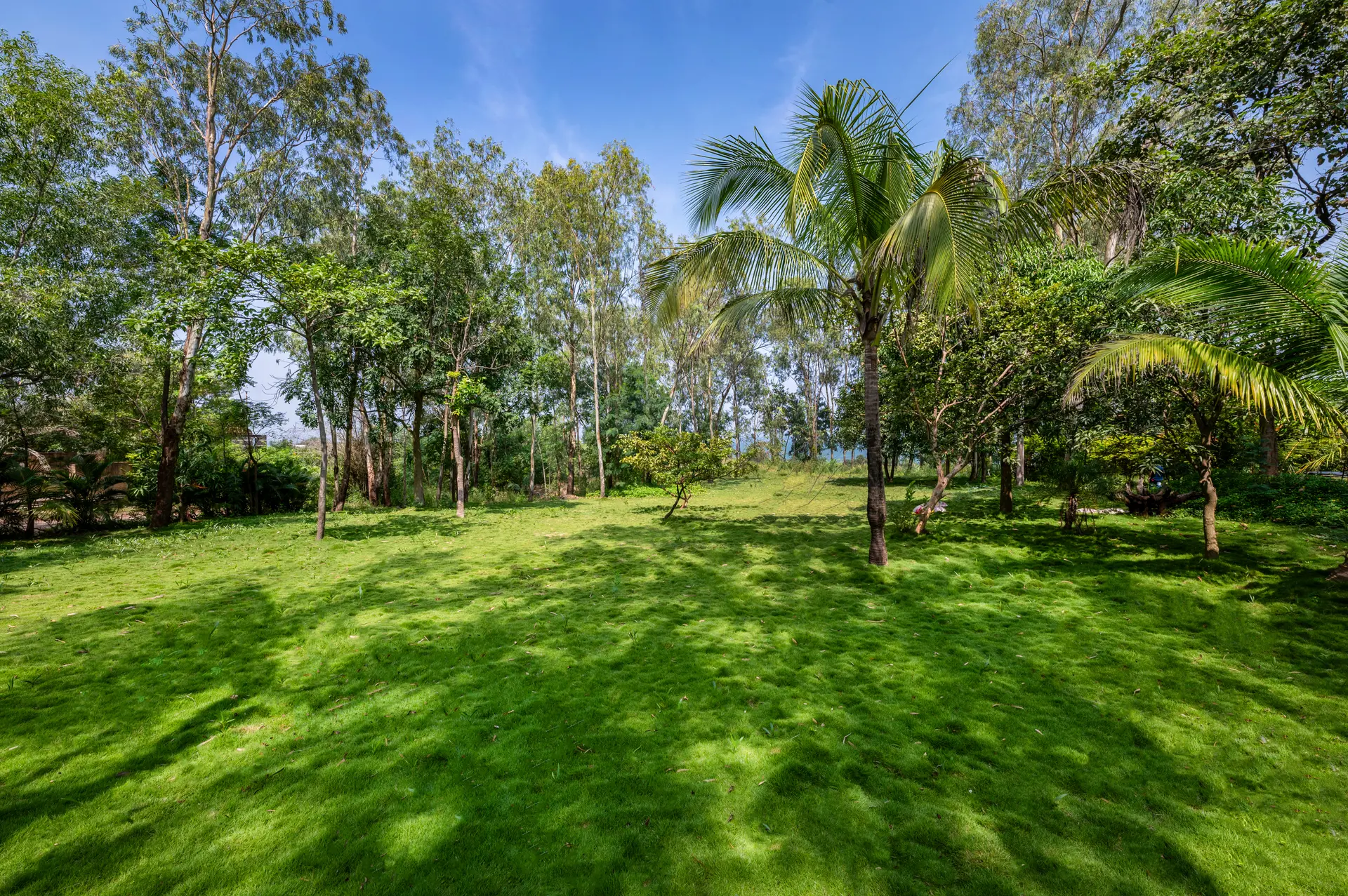 Image 30 of the property