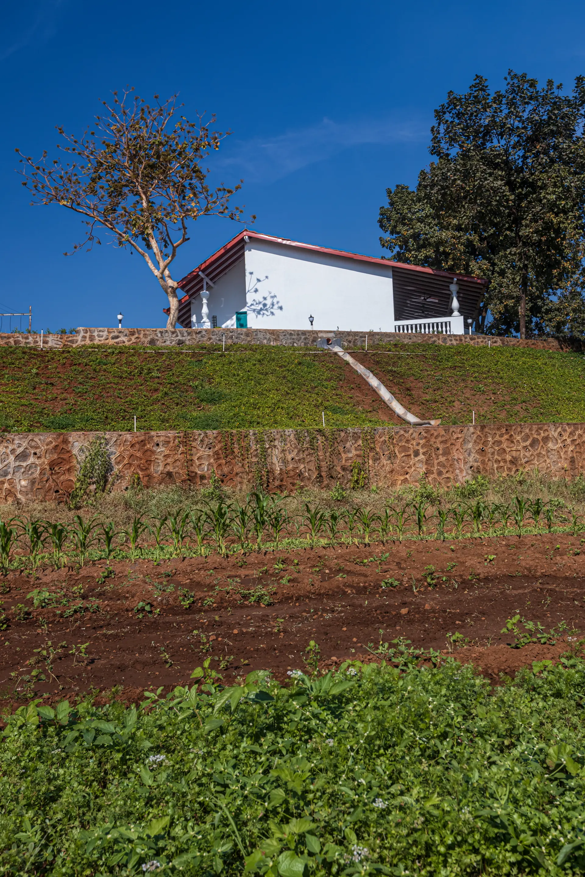 Image 75 of the property