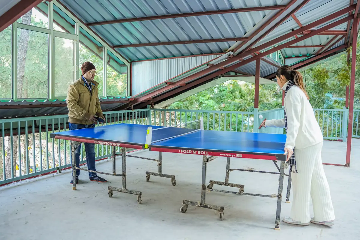 Cozy indoor table tennis game surrounded by nature