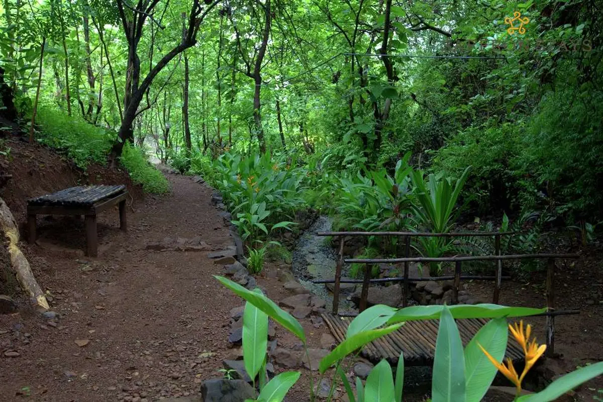 Go on a nature trail close to the home 