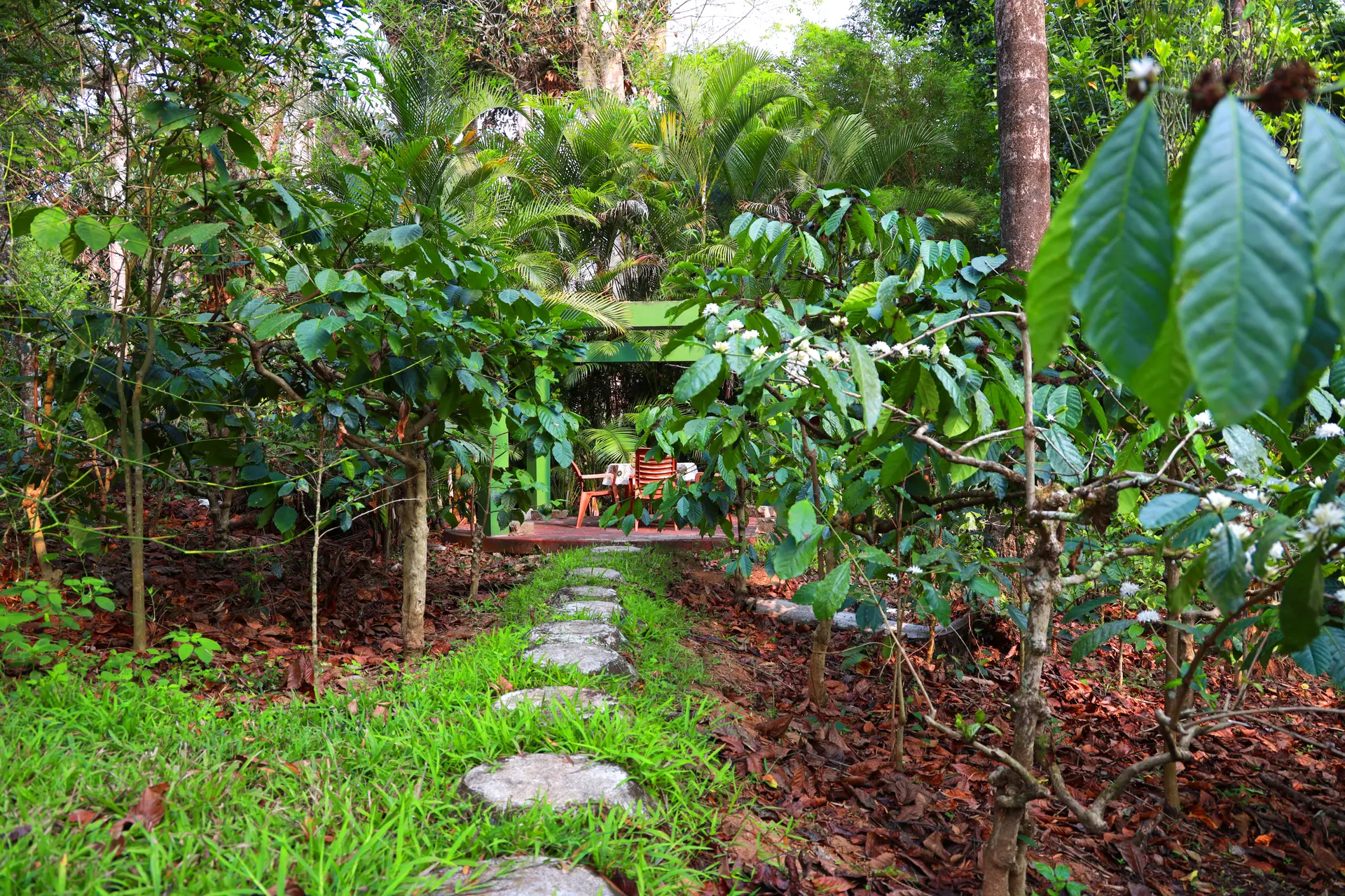 Image 9 of the property