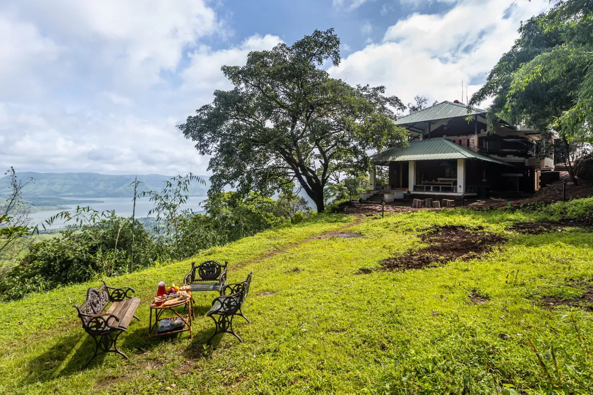 How about an open-air breakfast with these greens as your wallpaper?