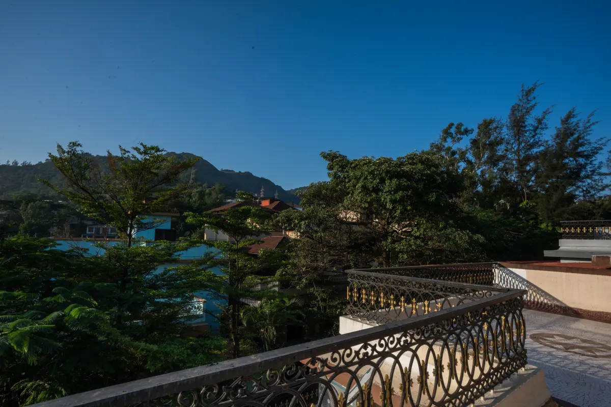 Soak in panoramic views of greenery