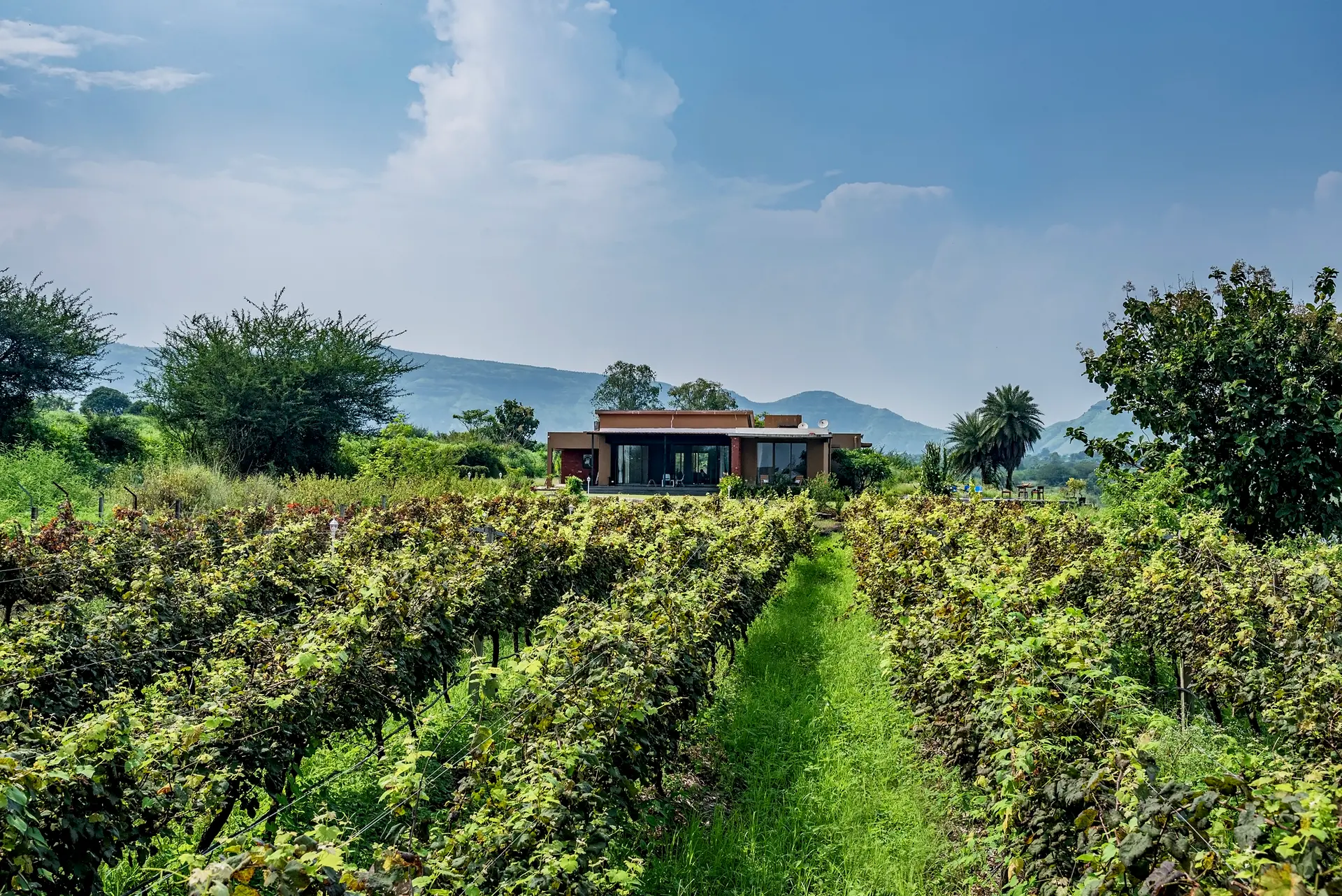 Rose Vineyard by the Lake - Villa in Nashik, Maharashtra