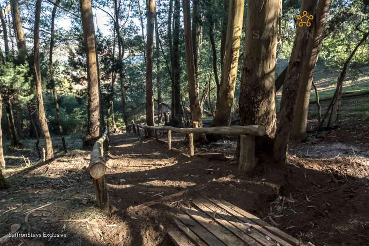 If you love going on long walks, go on an estate walk. The 4.5 acres of verdant forests offer the perfect backdrop for walks & treks.