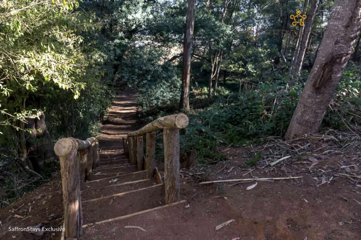 If you love going on long walks, go on an estate walk. The 4.5 acre of verdant forests offer the perfect backdrop for walks & treks.