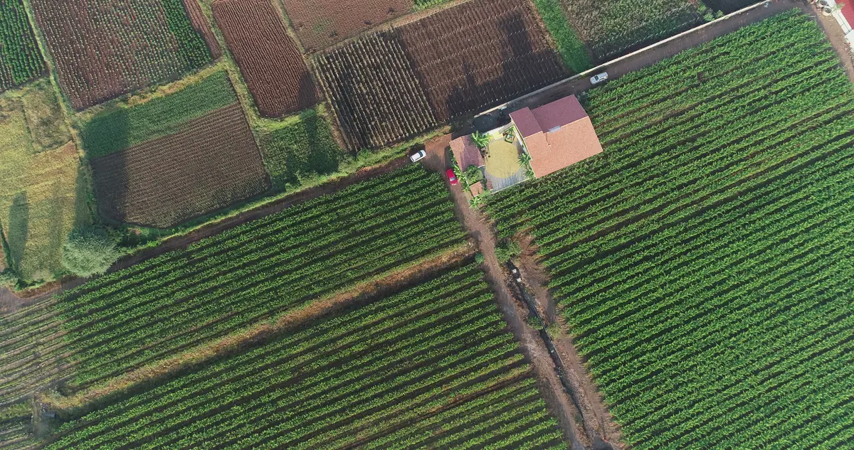 Bird's eye view of the place - looks stunning, right? 