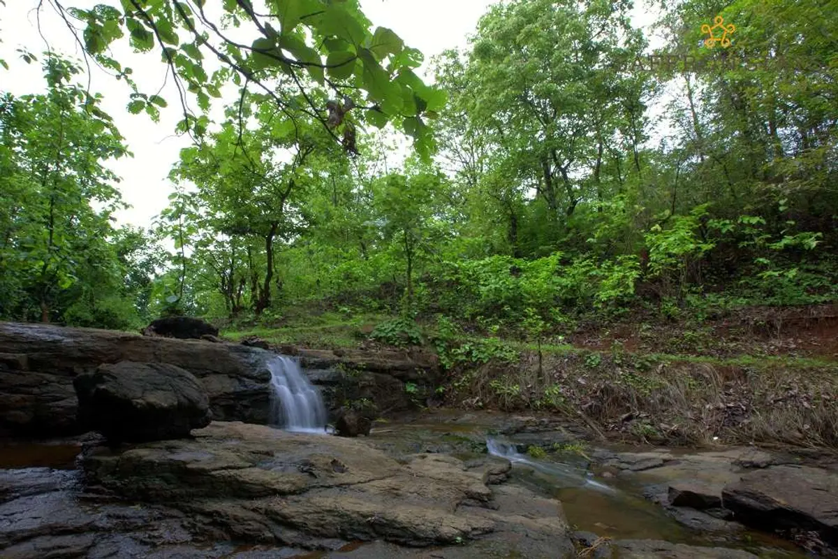 Go on a nature trail and take in some charming views like this