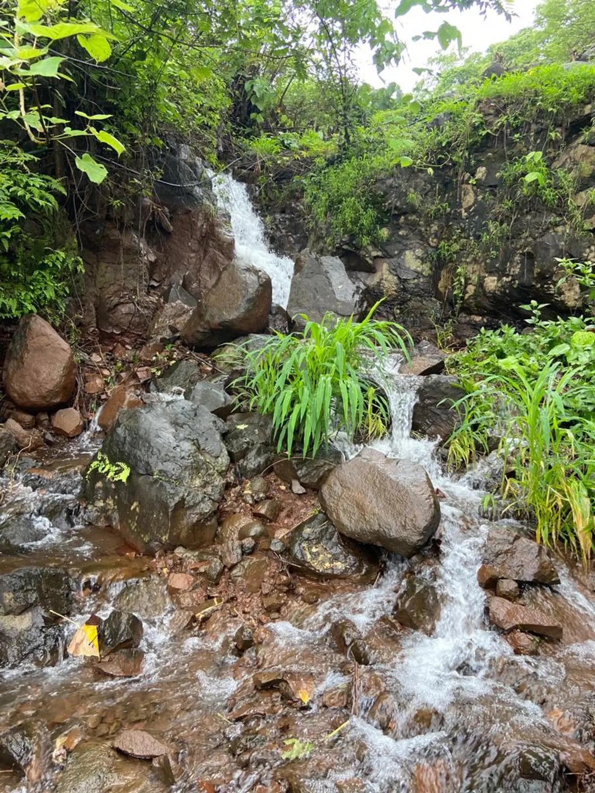 Monsoons brings waterfalls around
