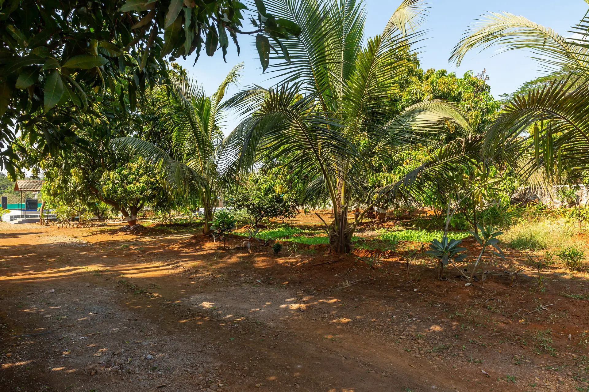 Image 34 of the property