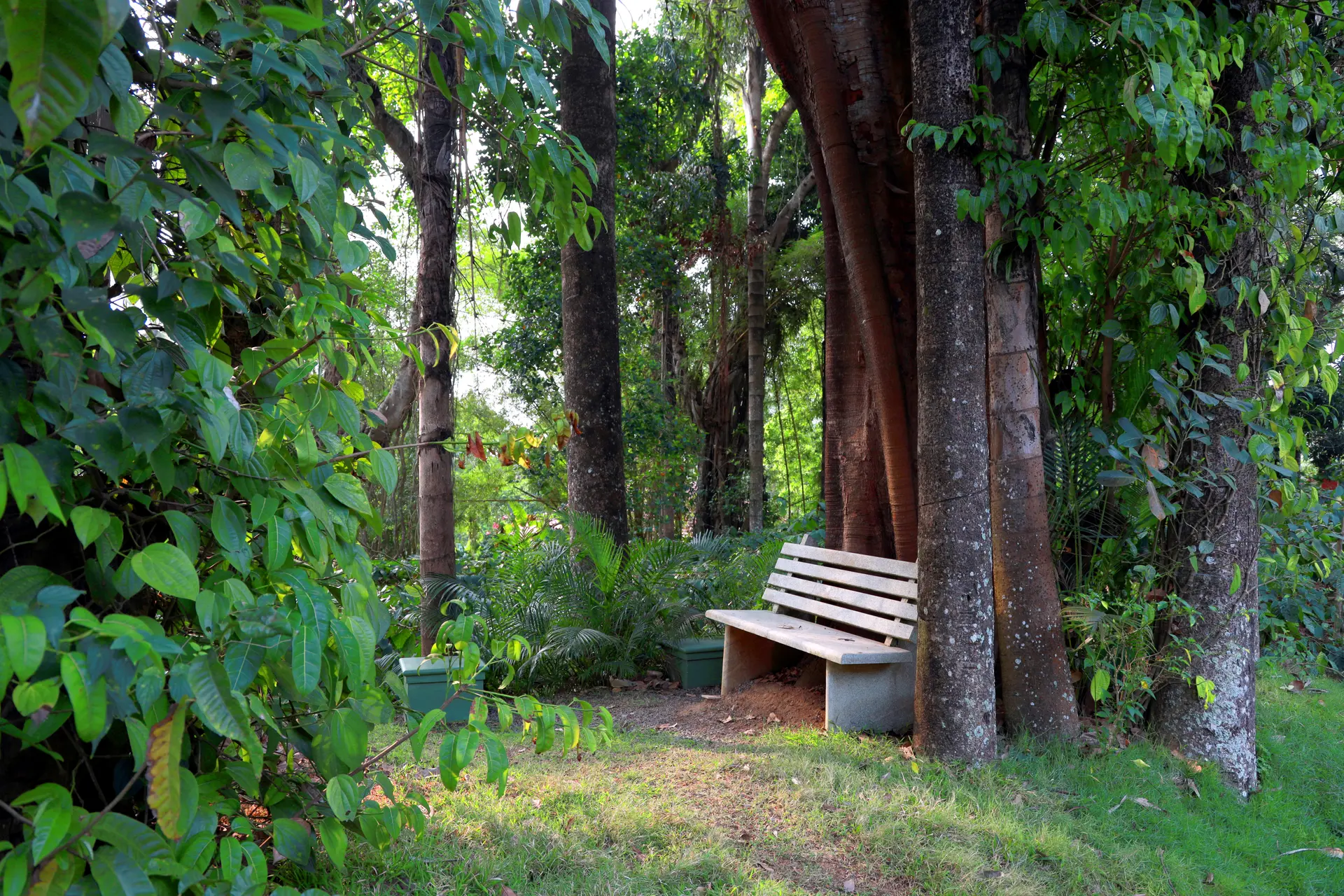 Image 10 of the property