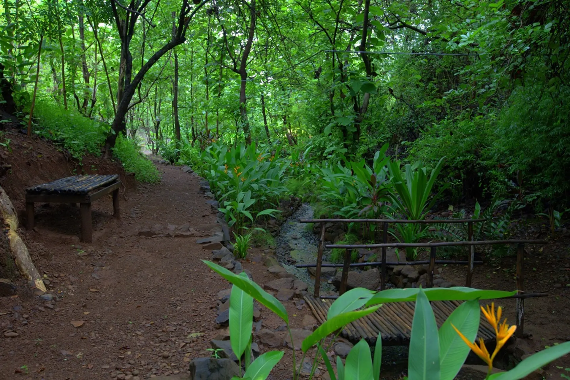 Dhyana - Wada, Maharashtra