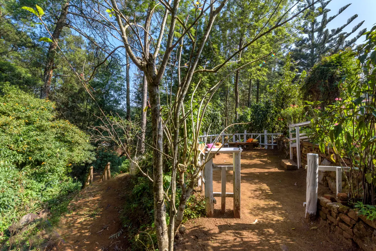If you love going on long walks, go on an estate walk. The 4.5 acre of verdant forests offer the perfect backdrop for walks & treks.