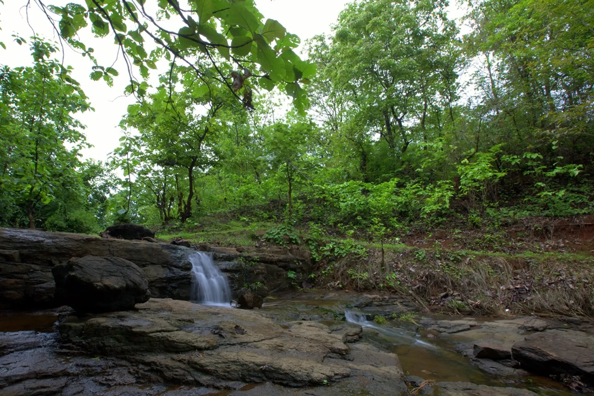 Nithyam - Wada, Maharashtra