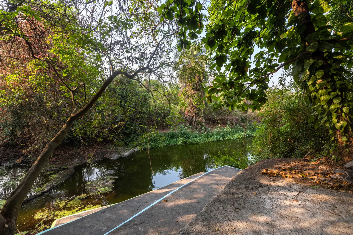 Cast your line and wait for a tug, you may end up catching a big fish!