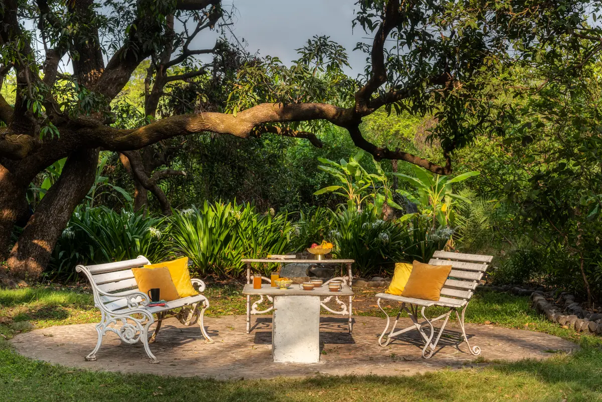 Enjoy the serene beauty of nature while sipping your favorite beverage and bonding with your loved ones
