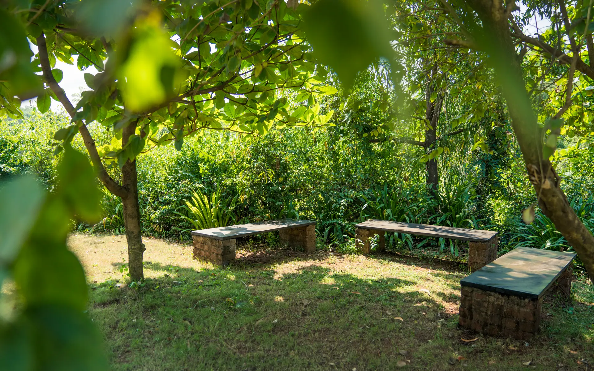 Image 45 of the property