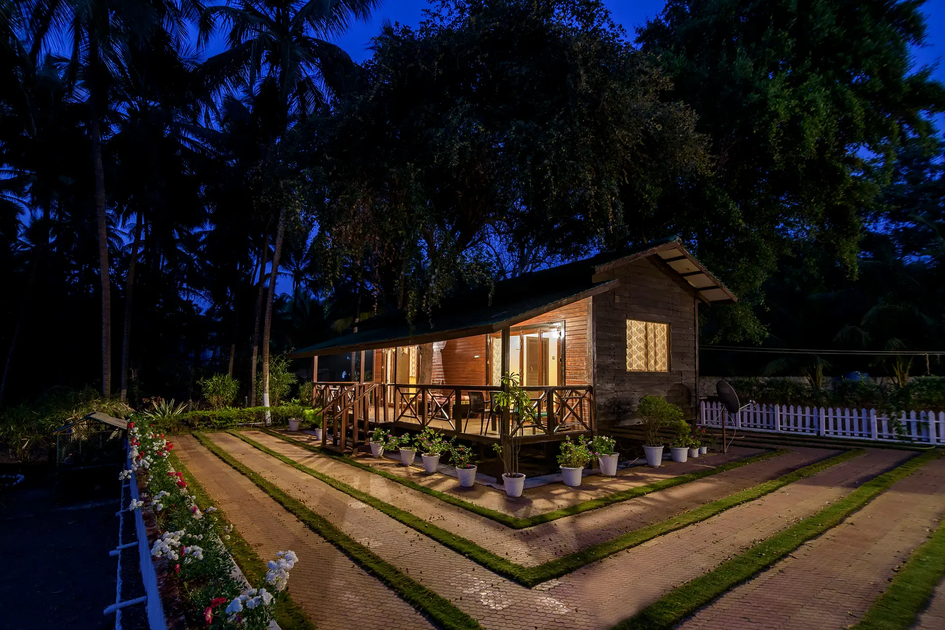 Little Paradise (Lotus)