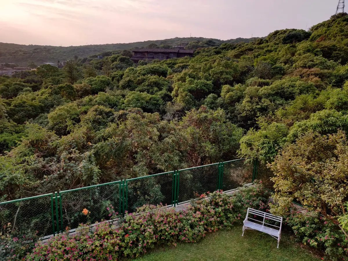 Soak in the thicket of trees surrounding the house.
