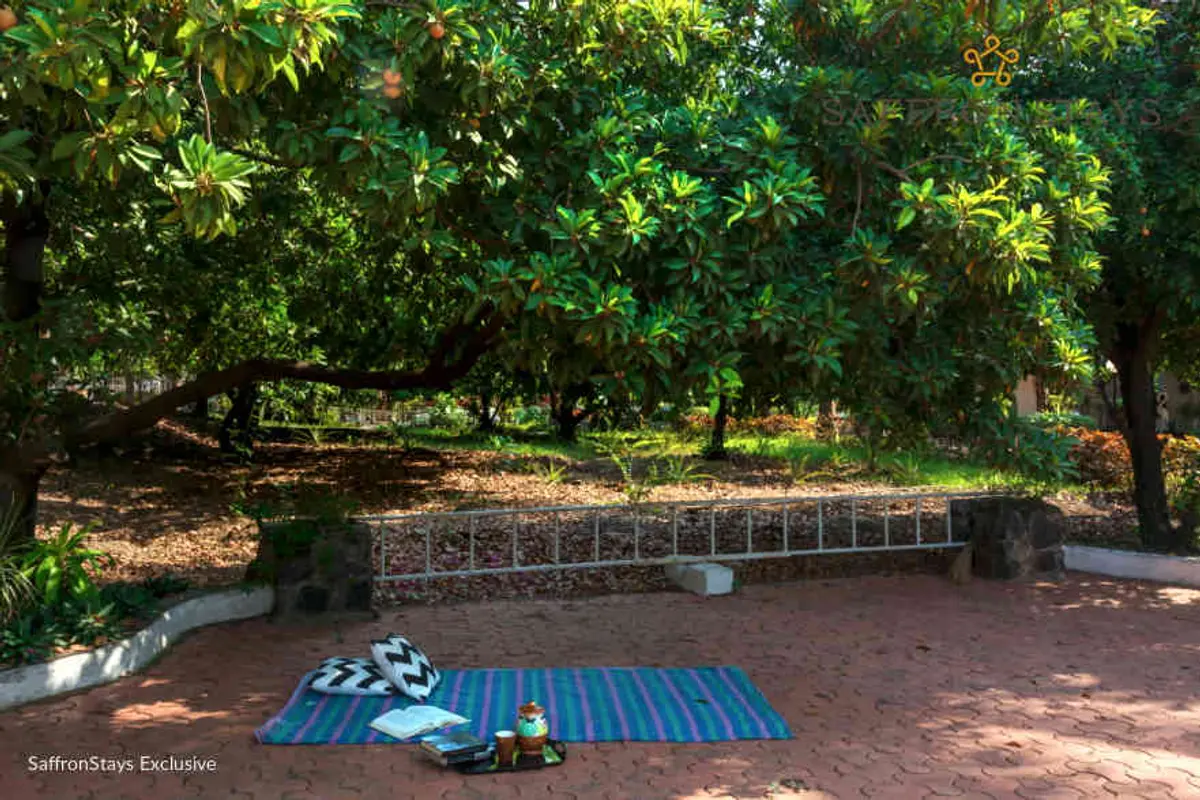 Arrange an outdoor picnic under the cool shade of the trees. 
