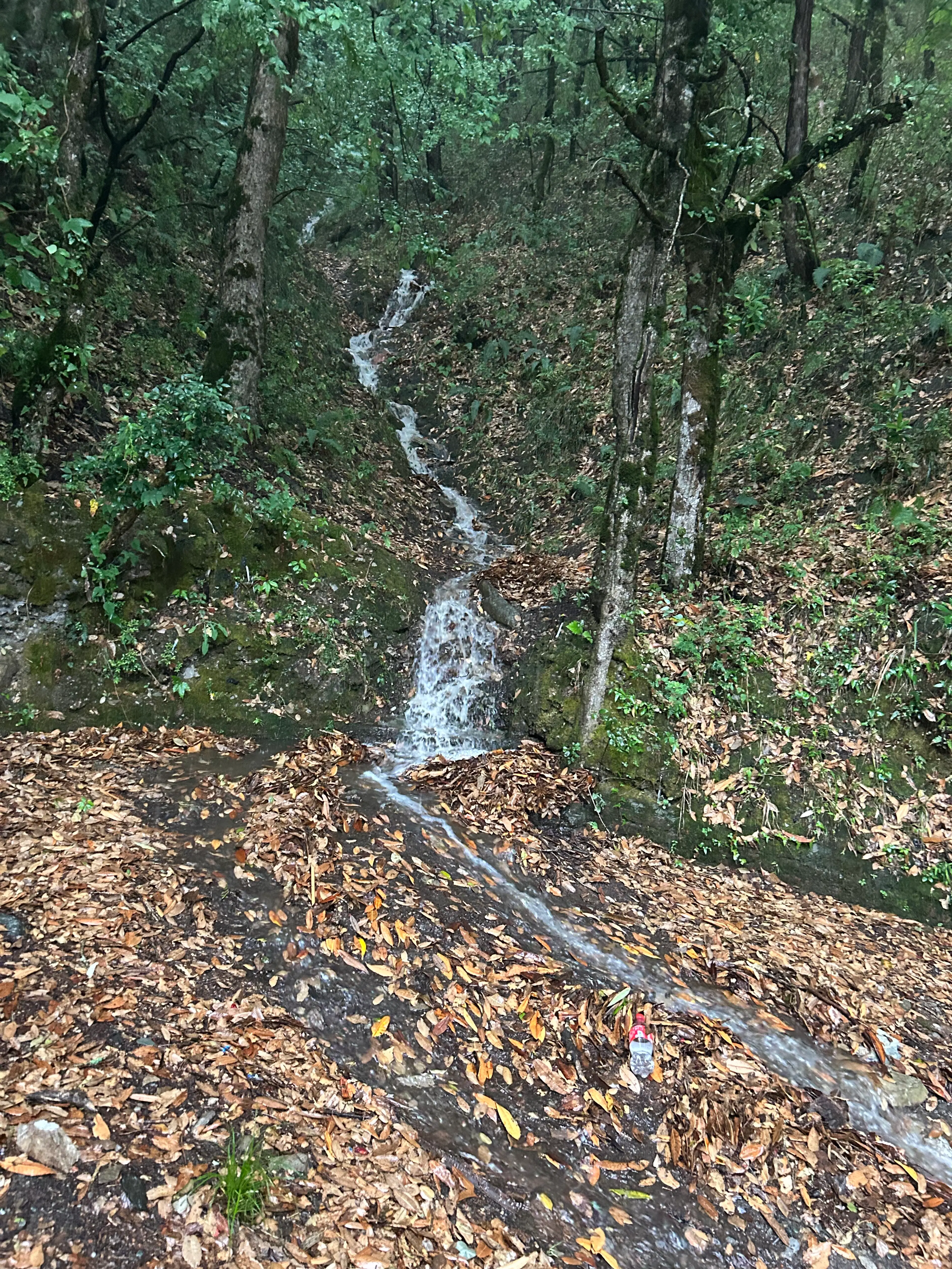 Kamayani Nagar