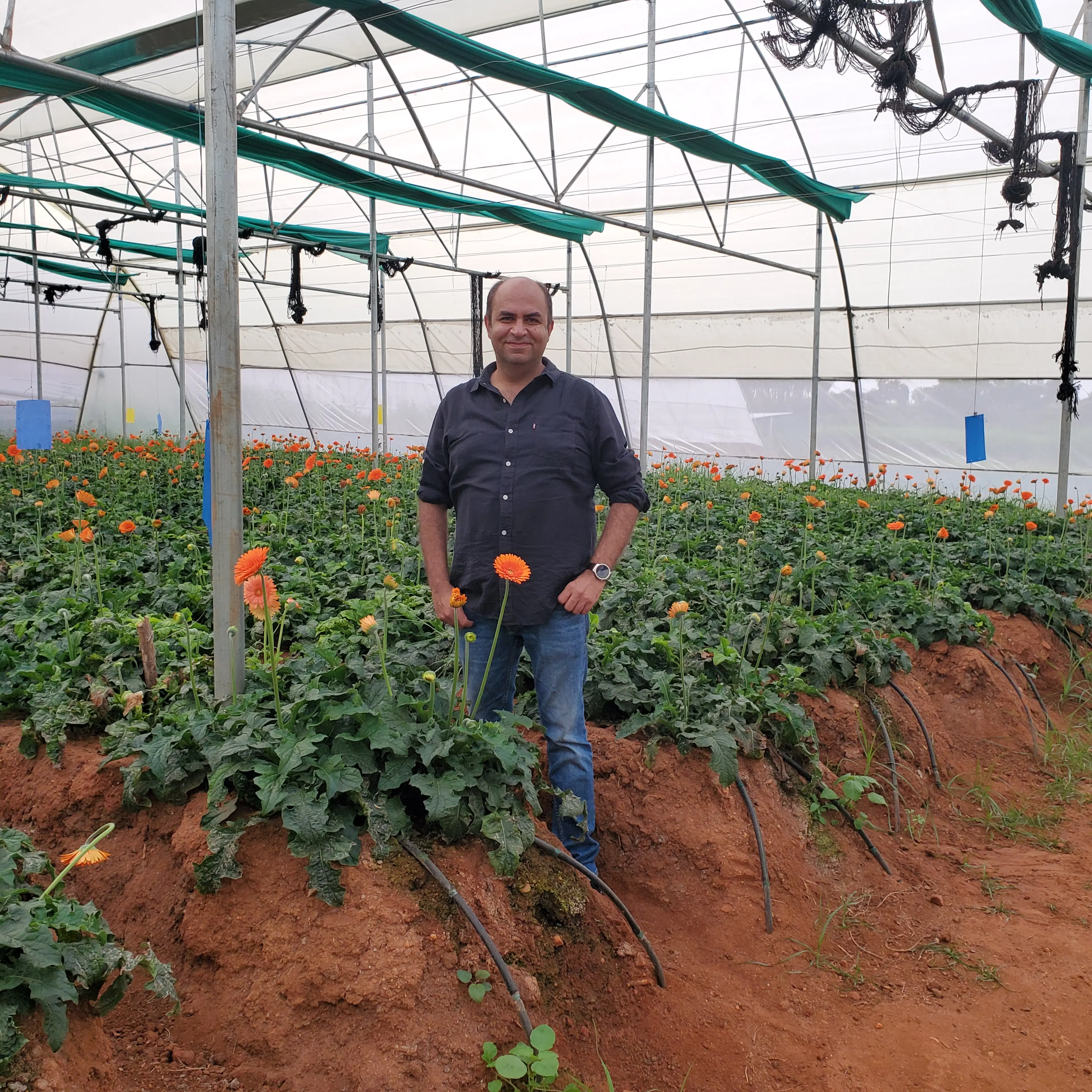 RAJIV ARJUN LUTHRIA