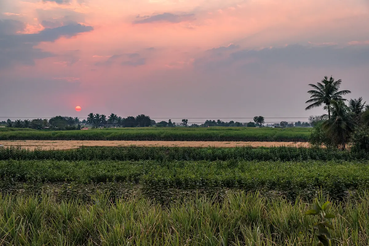 Acres of lush green to soothe your soul and relish much-needed quiet