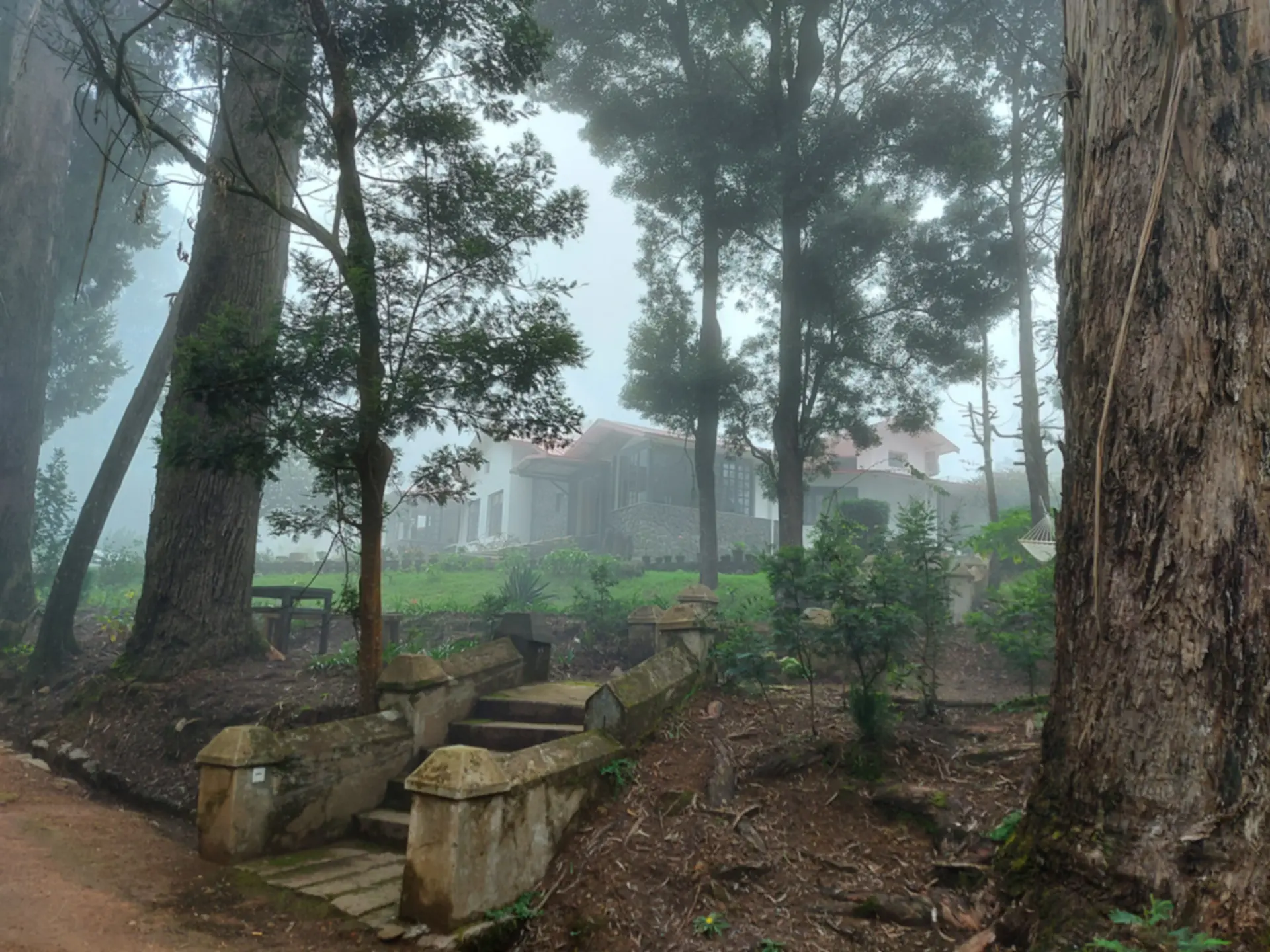 Image 19 of the property