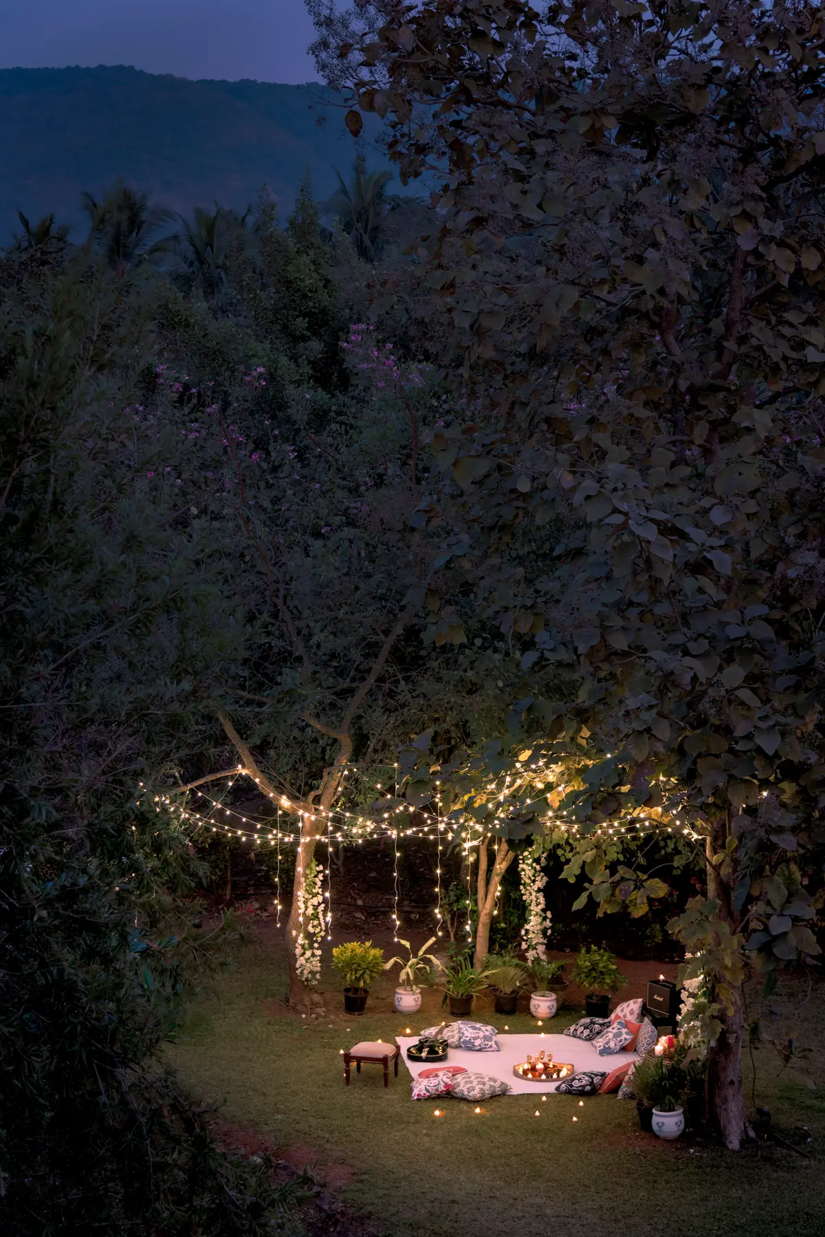 A toast to the outdoors, beneath the stars, above all worries!