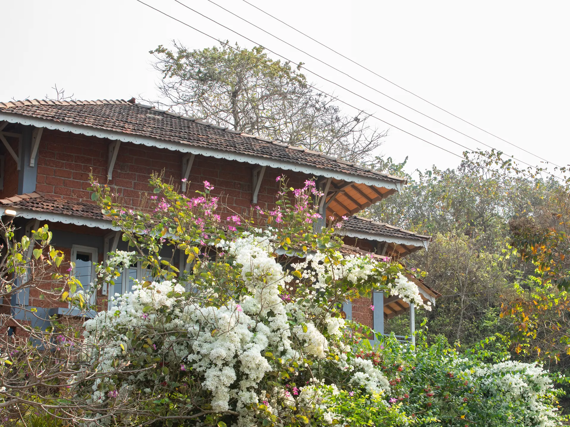 Image 31 of the property