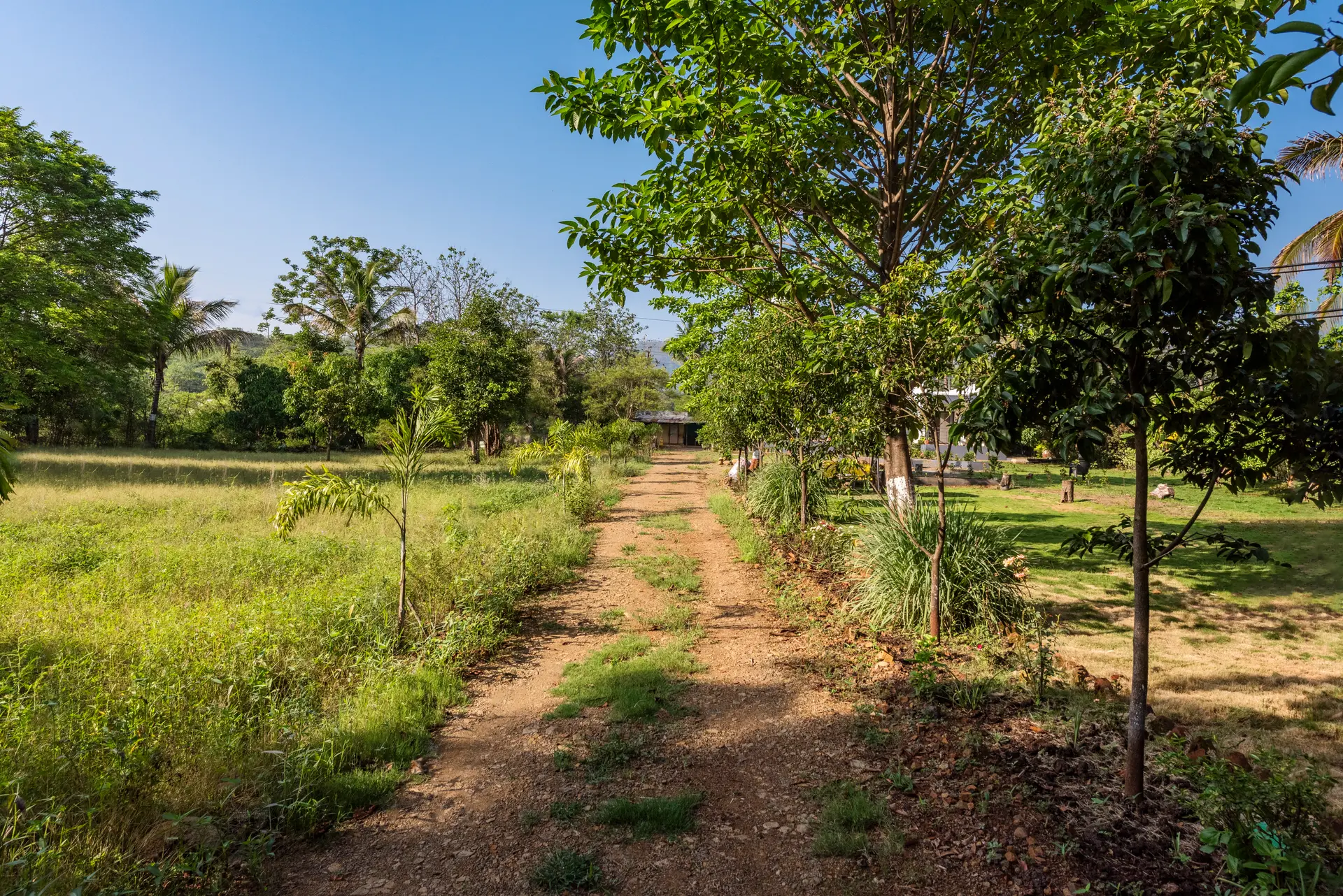 Image 31 of the property